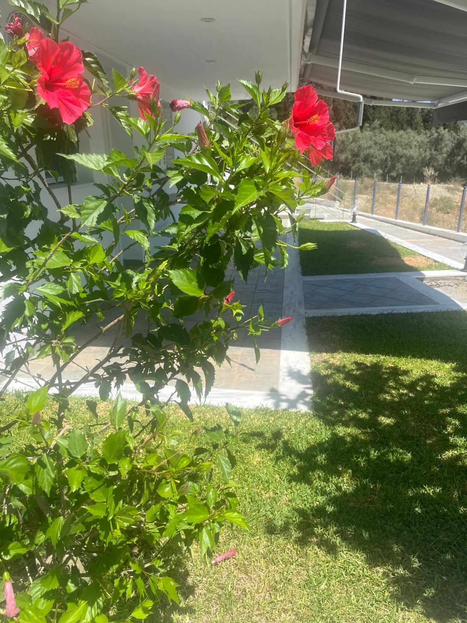 Casa Blu Διαμέρισμα Νικιάνα Εξωτερικό φωτογραφία